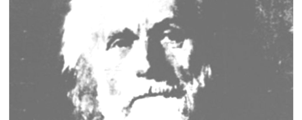 >>volxkeuken Domela [2018-2021]